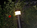 PICT0765_DCE.JPG