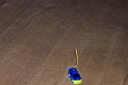 DCP_1194_DCE.JPG