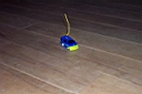 DCP_1197_DCE.JPG