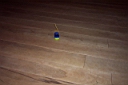 DCP_1200_DCE.JPG