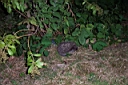 DCP_1648_DCE.JPG