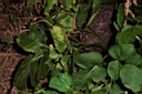 DCP_1651_DCE.JPG