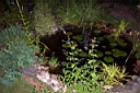 DCP_1593_DCE.JPG