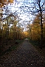 DCP_2551_DCE.JPG