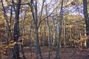 DCP_2552_DCE.JPG