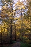DCP_2553_DCE.JPG