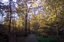 DCP_2554_DCE.JPG