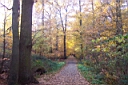 DCP_2555_DCE.JPG