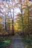 DCP_2556_DCE.JPG