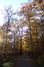 DCP_2557_DCE.JPG
