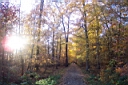 DCP_2558_DCE.JPG