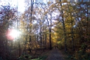 DCP_2559_DCE.JPG