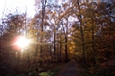 DCP_2560_DCE.JPG