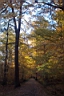 DCP_2561_DCE.JPG