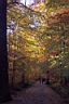 DCP_2562_DCE.JPG