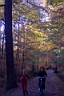 DCP_2563_DCE.JPG