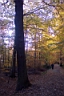 DCP_2564_DCE.JPG