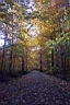 DCP_2566_DCE.JPG
