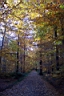 DCP_2567_DCE.JPG