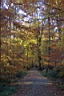 DCP_2569_DCE.JPG