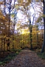 DCP_2572_DCE.JPG