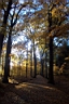 DCP_2575_DCE.JPG