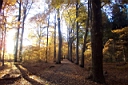 DCP_2576_DCE.JPG