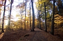 DCP_2577_DCE.JPG