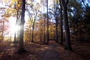 DCP_2579_DCE.JPG