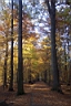 DCP_2580_DCE.JPG