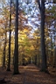 DCP_2581_DCE.JPG