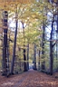 DCP_2583_DCE.JPG