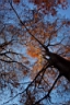 DCP_2586_DCE.JPG