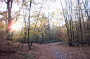 DCP_2587_DCE.JPG