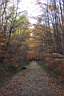 DCP_2588_DCE.JPG