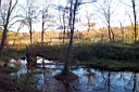DCP_2593_DCE.JPG
