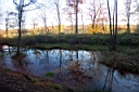 DCP_2594_DCE.JPG