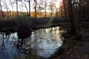 DCP_2596_DCE.JPG