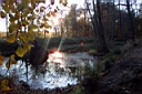 DCP_2597_DCE.JPG
