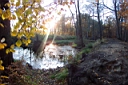DCP_2598_DCE.JPG