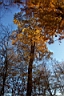 DCP_2599_DCE.JPG