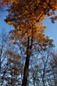 DCP_2600_DCE.JPG