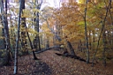 DCP_2602_DCE.JPG