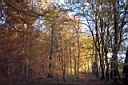 DCP_2603_DCE.JPG