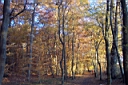 DCP_2604_DCE.JPG
