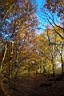 DCP_2609_DCE.JPG