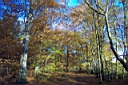 DCP_2610_DCE.JPG