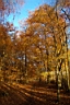 DCP_2612_DCE.JPG