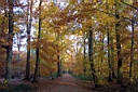 DCP_2615_DCE.JPG