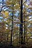 DCP_2618_DCE.JPG